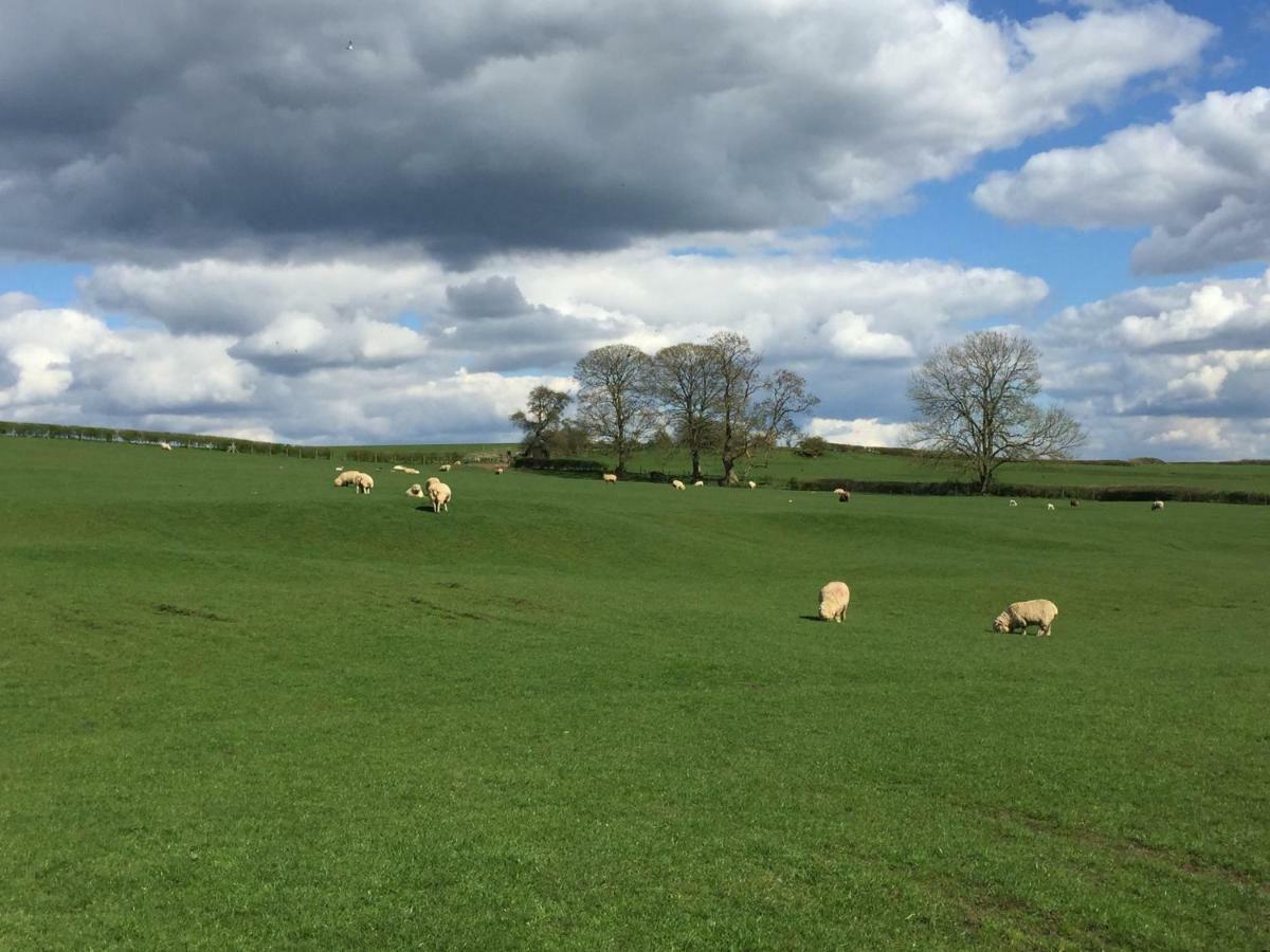 버킹엄 Weatherhead Farm Shepherds Hut 빌라 외부 사진
